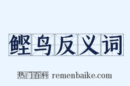 鲣鸟反义词是什么意思的图片